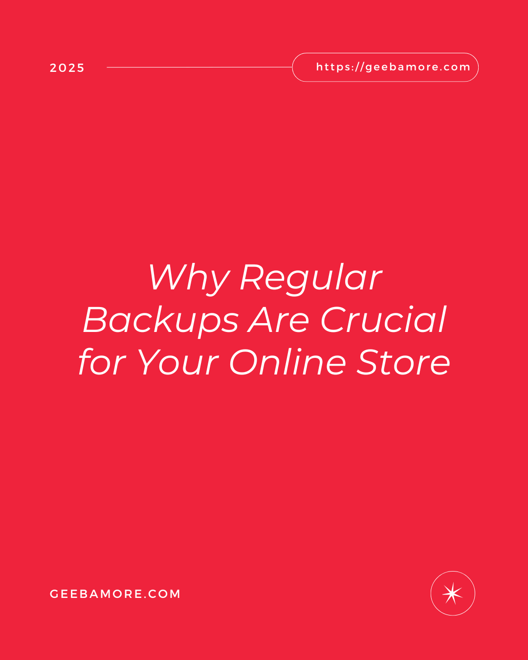 Why Regular Backups Are Crucial for Your Online Store