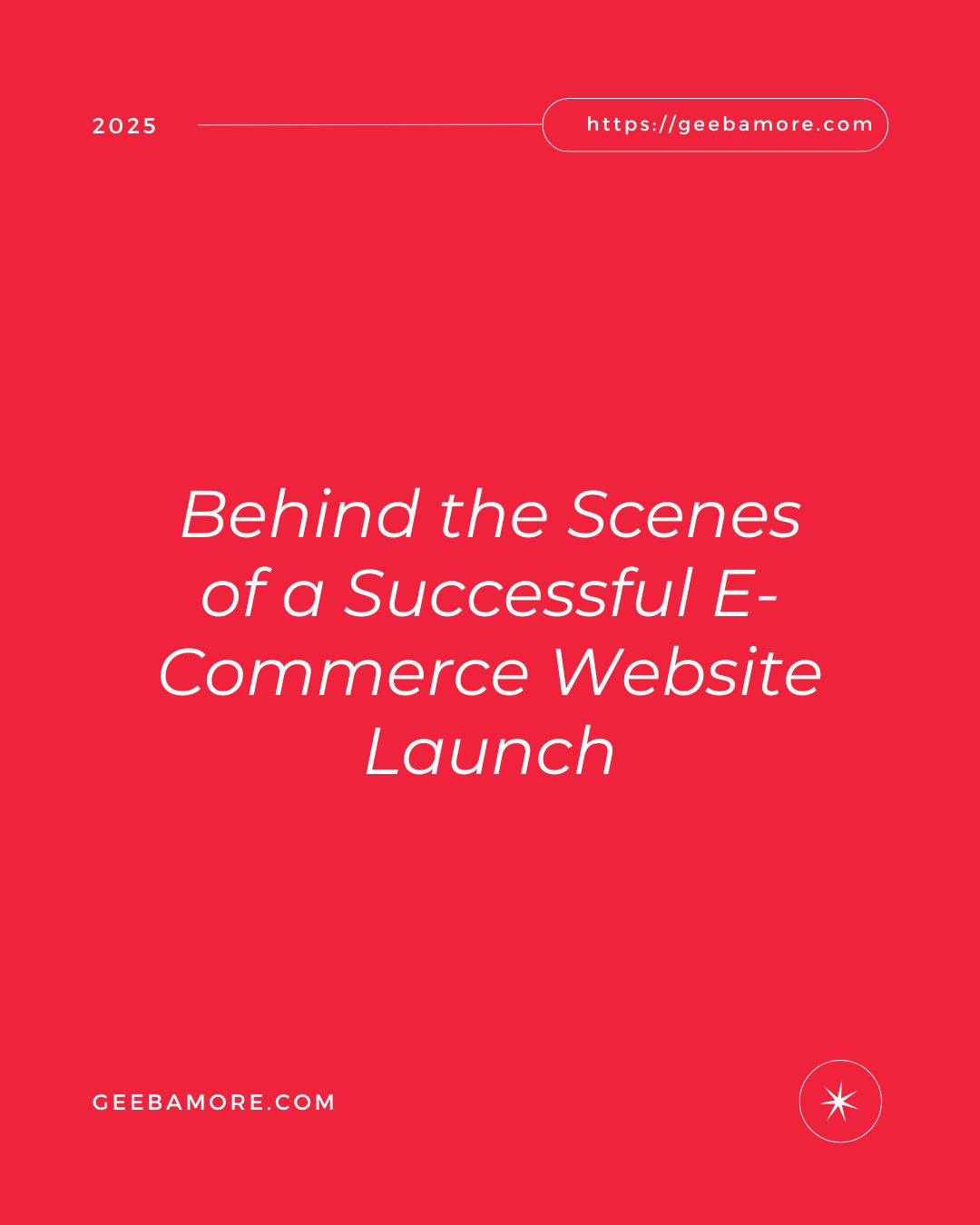 Behind the Scenes of a Successful E-Commerce Website Launch